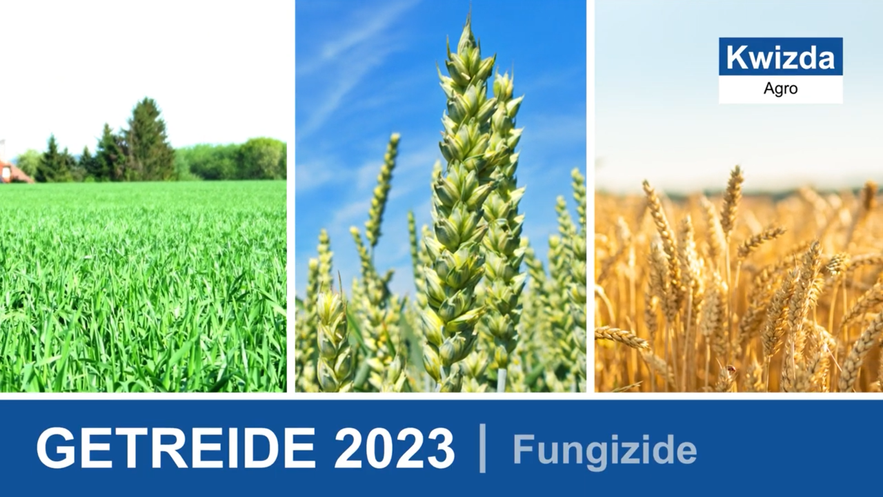 Getreide Fungizide 2023