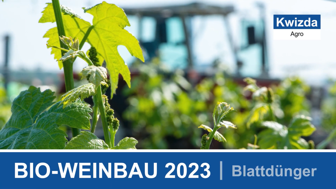 Blattdüngung im Bio-Weinbau 2023