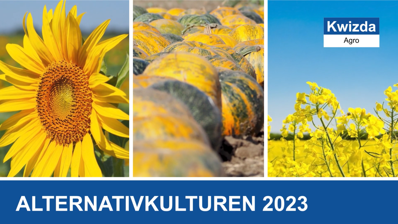 Pflanzenschutz in Alternativkulturen 2023