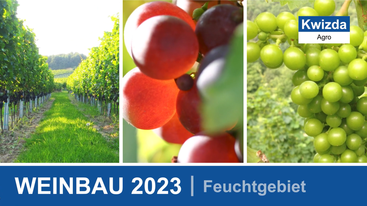Pflanzenschutz im Weinbau 2023 (Feuchtgebiet) 