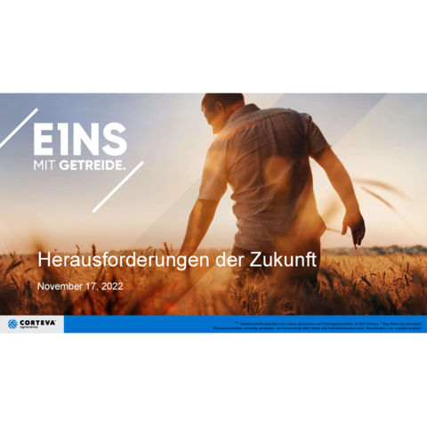 Neuheit 2023: Verben