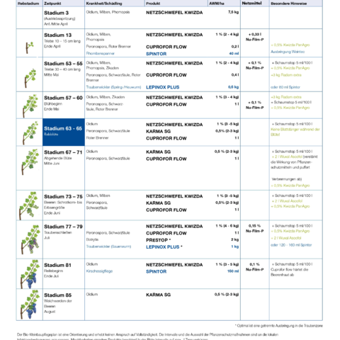 Pflegeplan Bio-Weinbau 2023