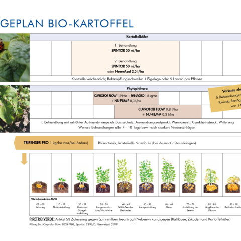 Pflegeplan Bio-Kartoffel 2023