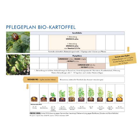Pflegeplan Bio-Kartoffel 2023