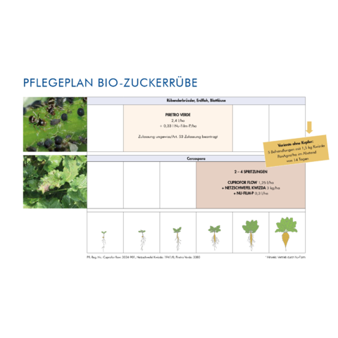 Pflegeplan Bio-Zuckerrübe 2023