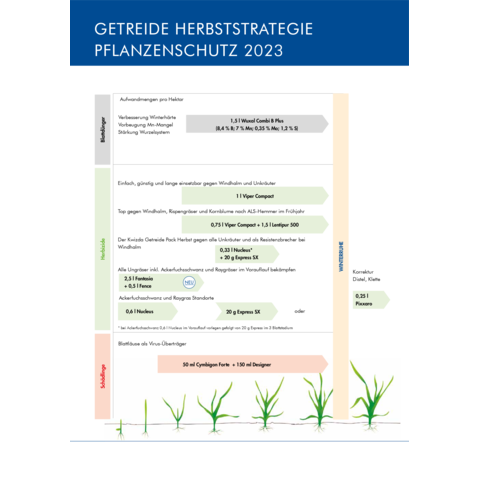 Spritzplan Herbststrategie Getreide