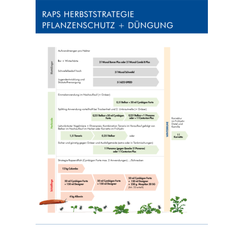 Spritzplan Herbststrategie Raps