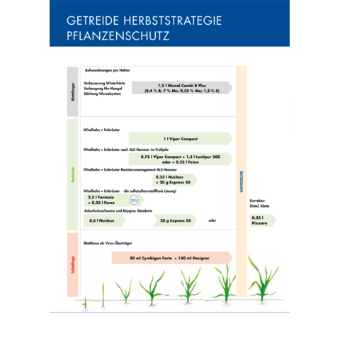 Spritzplan Herbststrategie Getreide