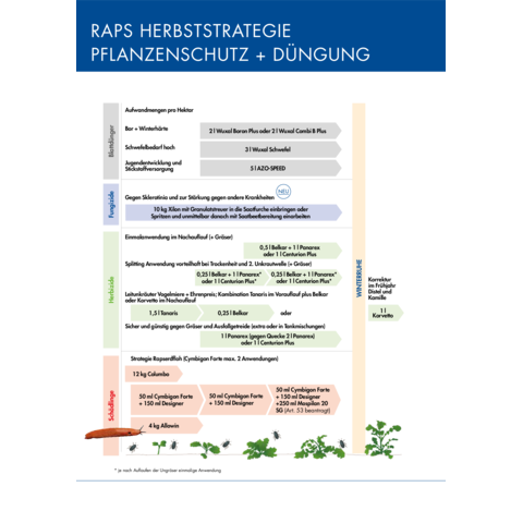 Spritzplan Herbststrategie Raps