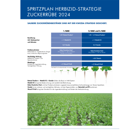 Spritzplan Herbizidstrategie Zuckerrübe 2024