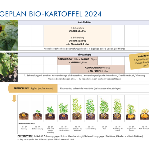 Pflegeplan Bio-Kartoffel 2024