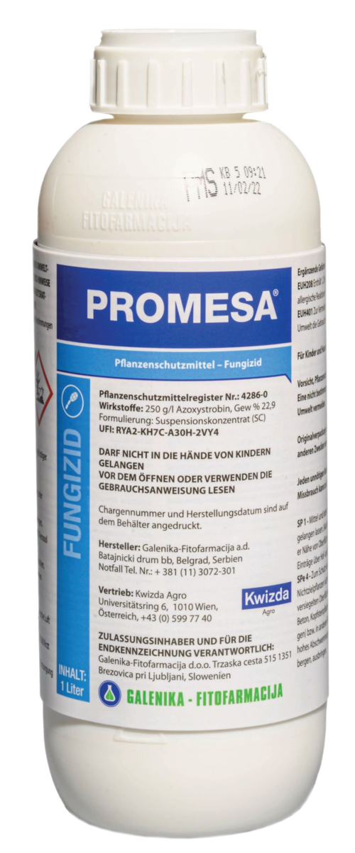 promess sl