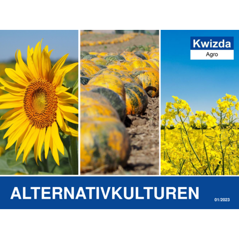Alternativkulturen.pdf