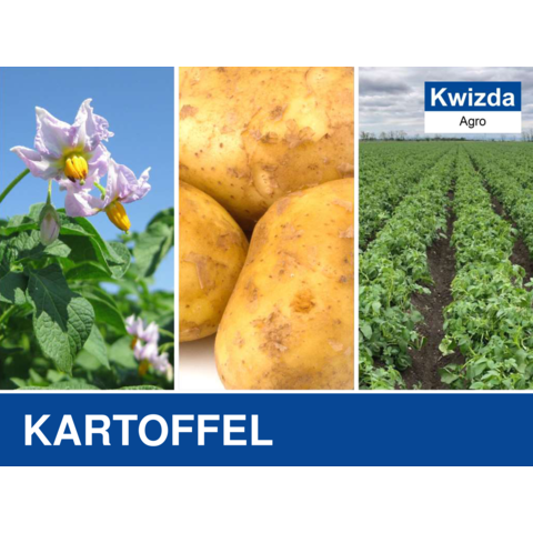 Kartoffel.pdf