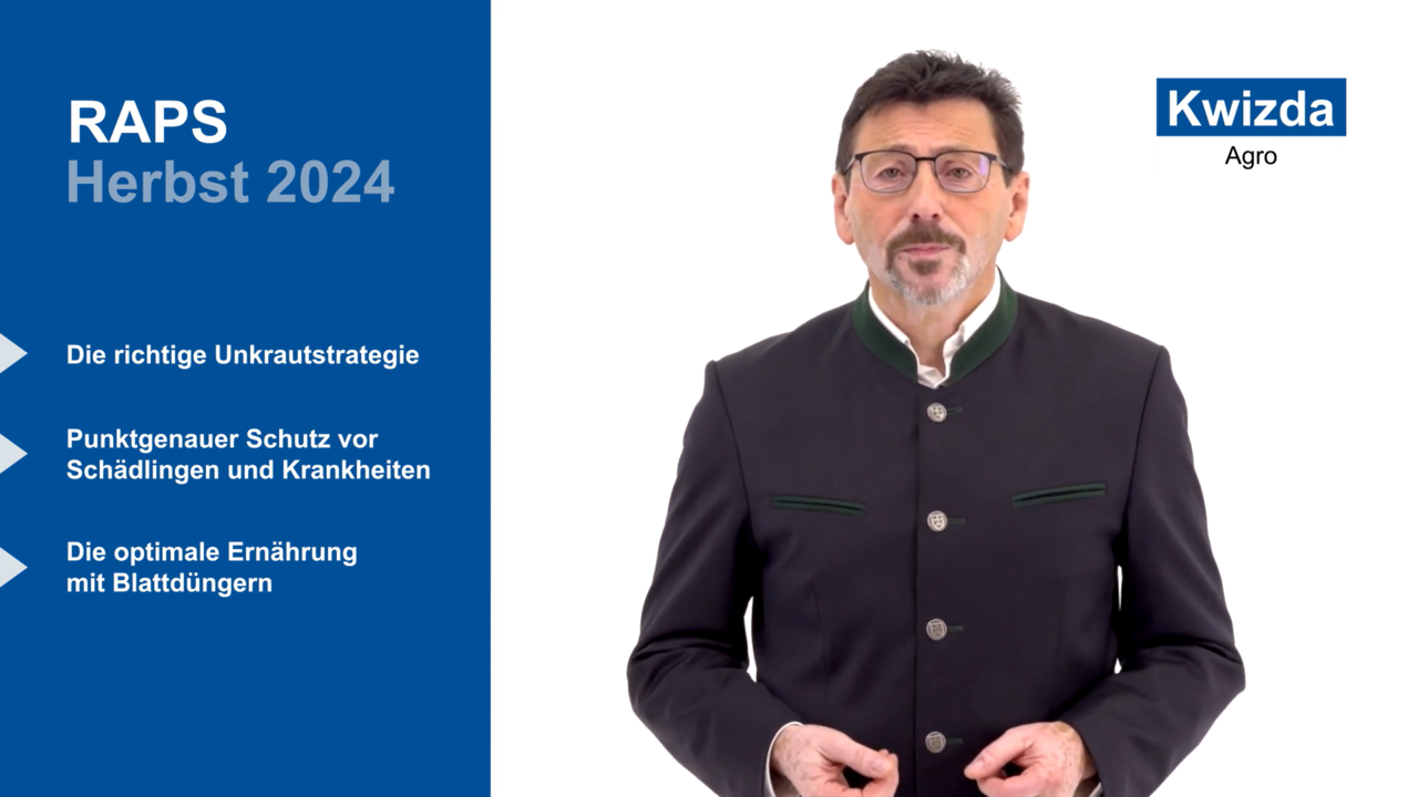 Beratungsvideo: Herbst Empfehlungen Raps 2024