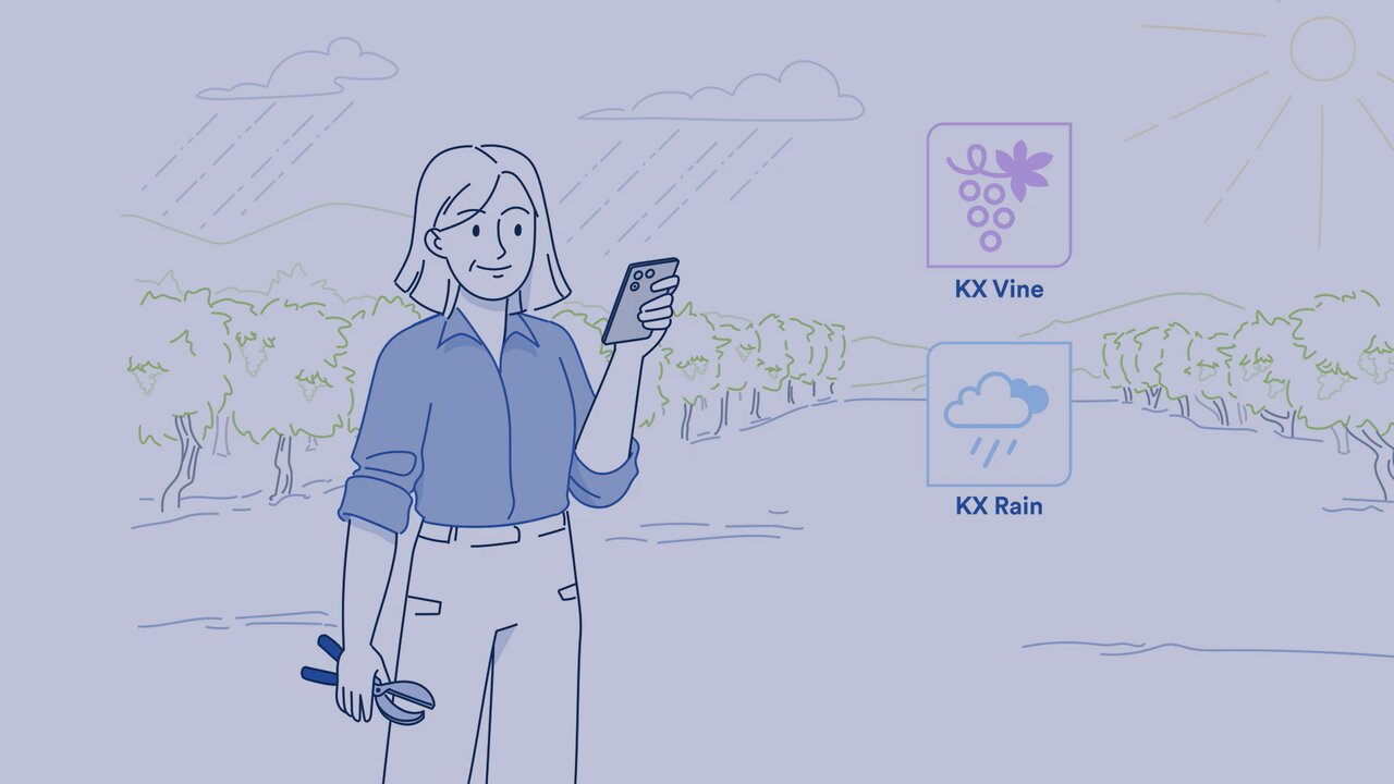 KX im Weinbau: Planung & optimaler Spritzzeitpunkt mit KX Planner, KX Vine & KX Rain