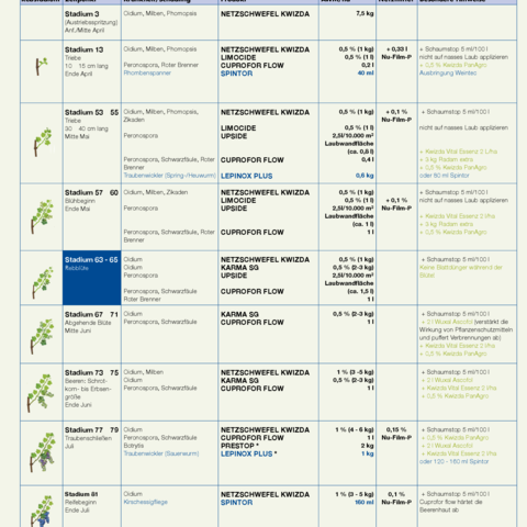Pflegeplan Bio-Weinbau 2025