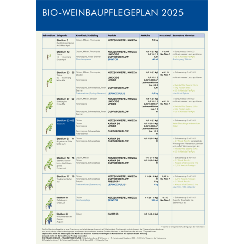 Pflegeplan Bio-Weinbau 2025