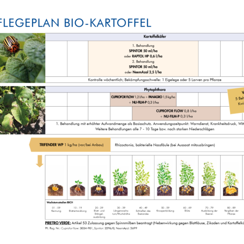 Pflegeplan Bio-Kartoffel 2025