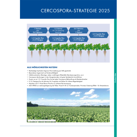 Spritzplan Cercospora Strategie 2025