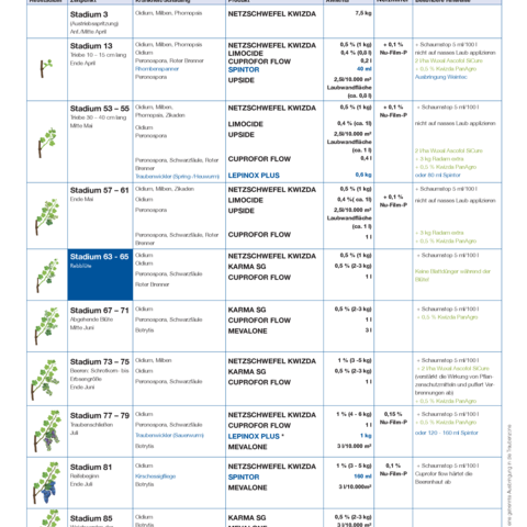 Pflegeplan Bio Weinbau 2026