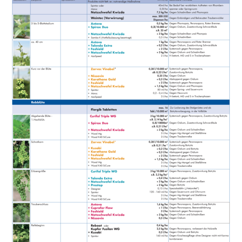 Spritzplan Weinbau Feuchtgebiet 2026