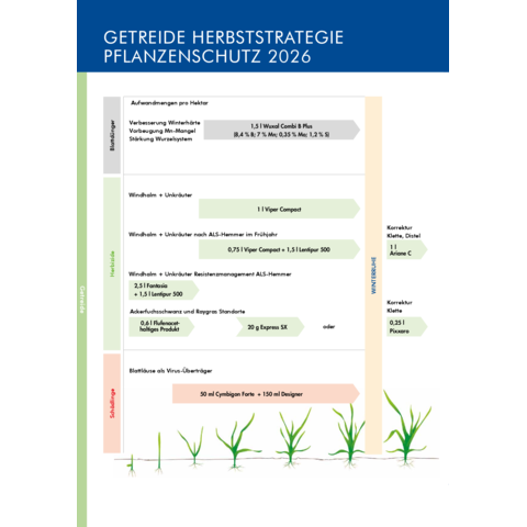 Herbststrategie Getreide 2026