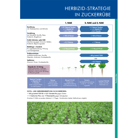 Herbizidstrategie Zuckerrübe 2026