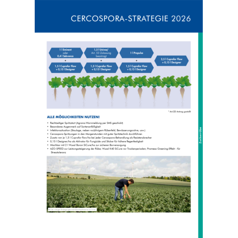 Cercospora-Strategie Zuckerrübe 2026