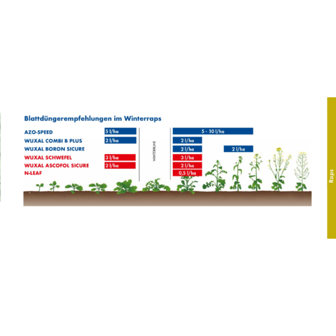 Empfehlungen Winterraps Blattdünger 2026