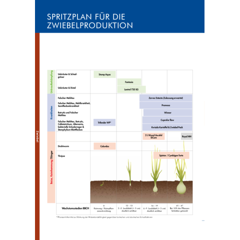 Spritzplan Zwiebel 2026