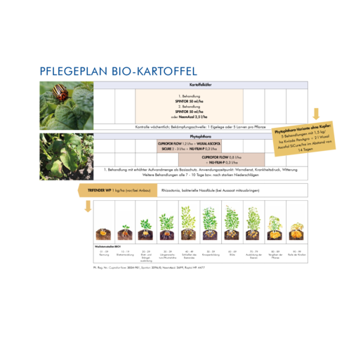 Pflegeplan Bio-Kartoffel 2026