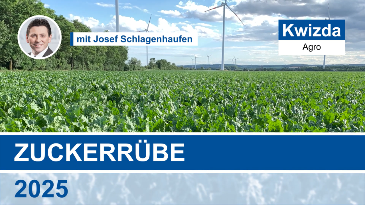 Pflanzenschutz in der&lt;/br&gt; Zuckerrübe 2025