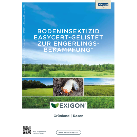 Exigon.pdf