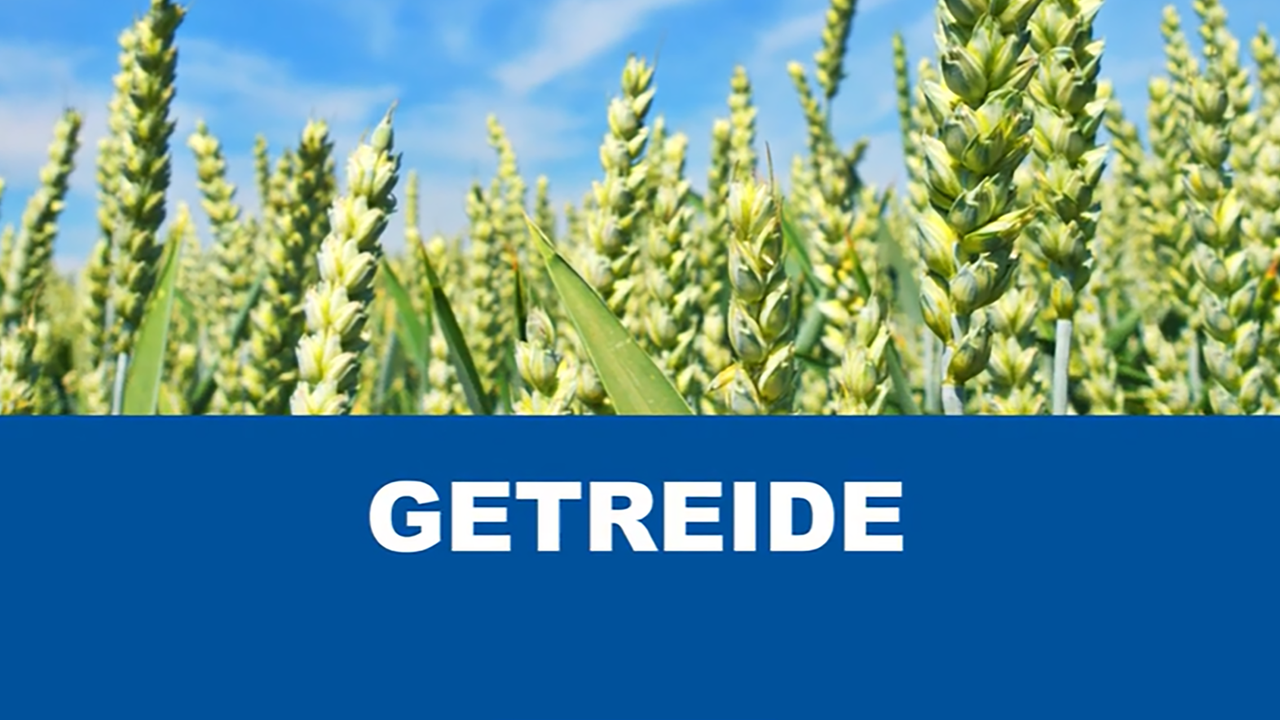 Fungizid- und Herbizidstrategie</br> im Getreide 2026