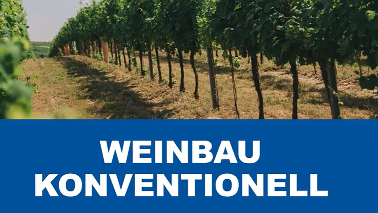 Pflanzenschutz im</br> Weinbau 2026
