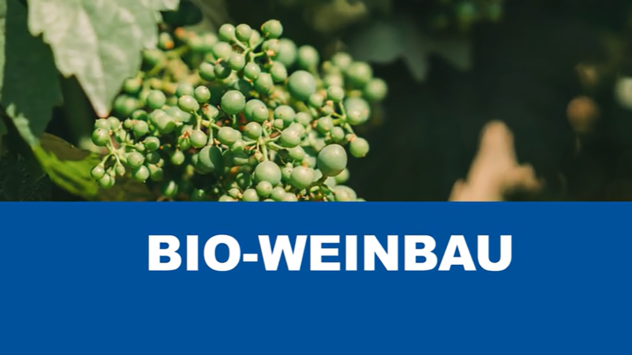 Pflanzenschutz im </br> Bio-Weinbau 2026